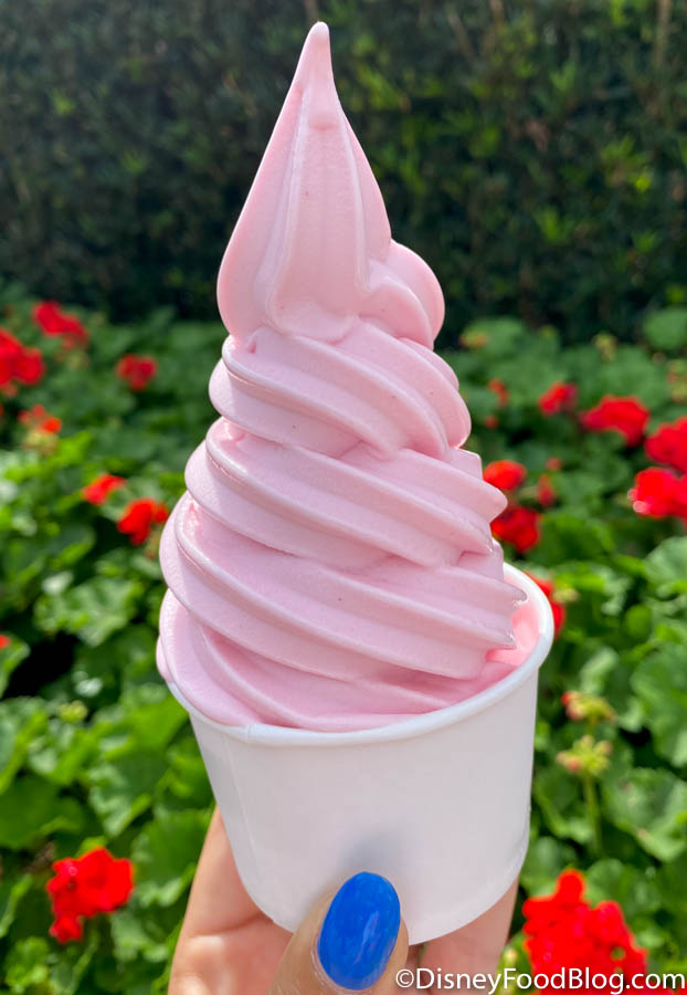 Find Out How to Get Cups FULL of Watermelon Dole Whip in Disney World ...