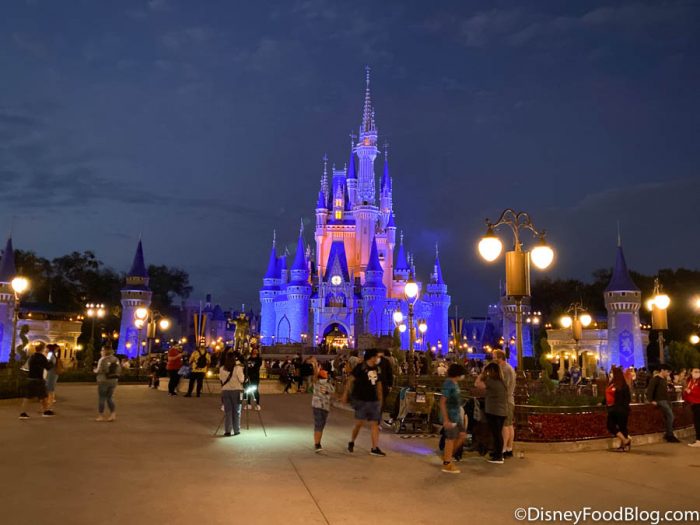 The Disney Parks Balloon: Classic Souvenir or Problematic Waste