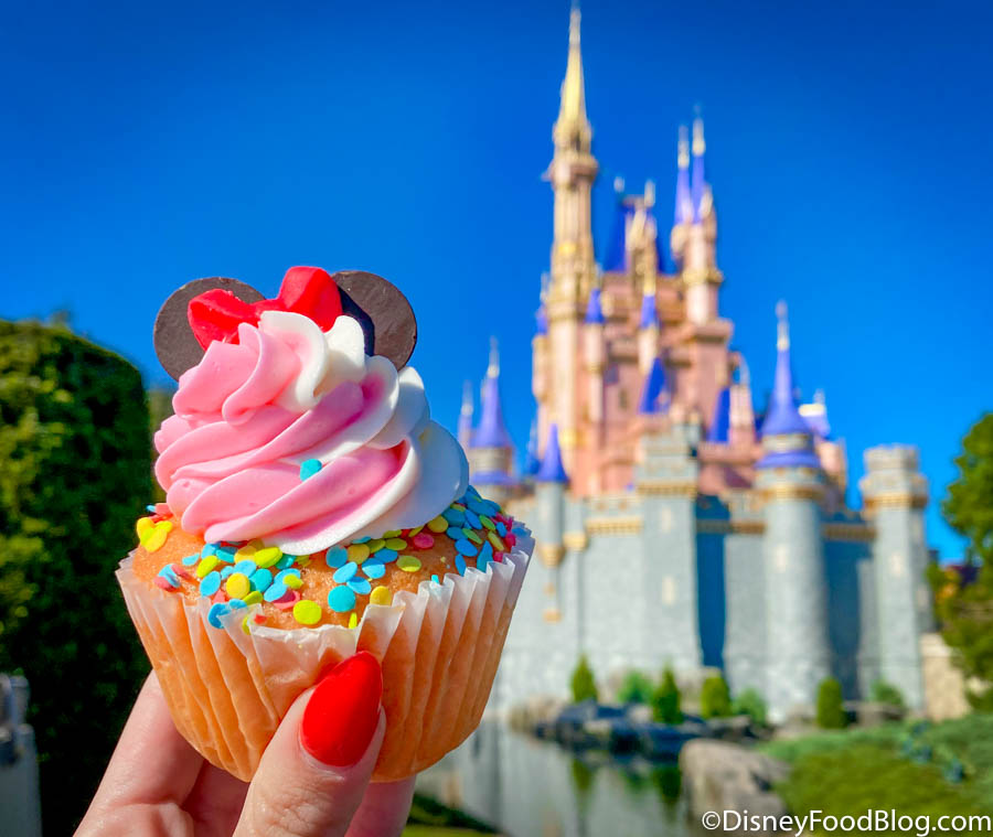 https://www.disneyfoodblog.com/wp-content/uploads/2021/01/2021-wdw-magic-kingdom-main-street-confectionery-cotton-candy-cupcake-cinderella-castle-stock-general_-2.jpg