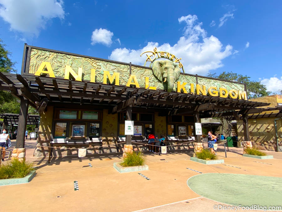 Only EXPERTS of Disney's Animal Kingdom Know These 15 Things! | the disney  food blog