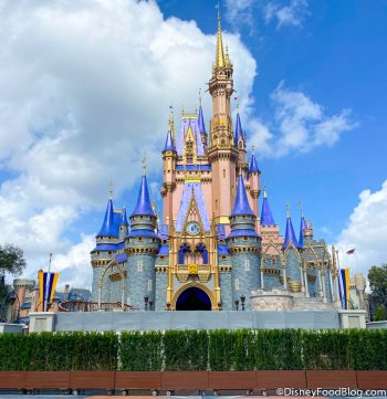Heads Up, Your Disney World Castle Photos Might Look a Little MORE ...