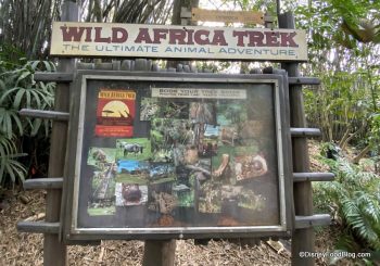 animal kingdom safari trek price