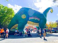 PHOTOS: Here's What the Spring Break Crowds Look Like in Disney World ...