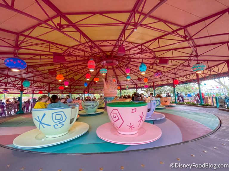 Paga Pink Rides Disney World Rides You Can Typically Get on WITHOUT a Wait | the disney ...