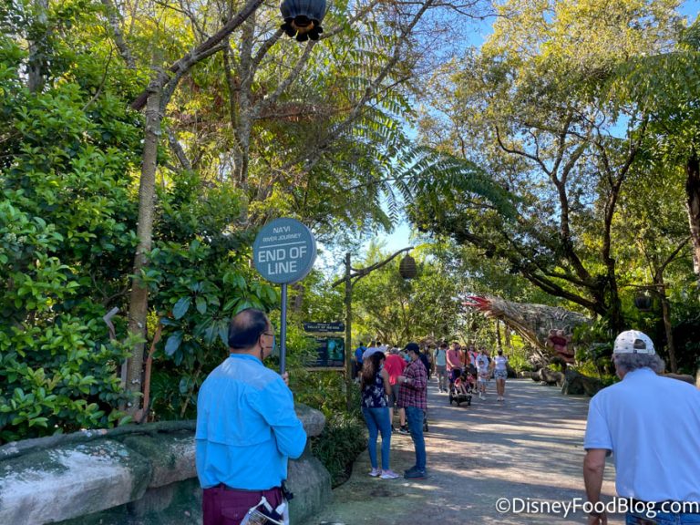 PHOTOS: Here's What the Spring Break Crowds Look Like in Disney World ...