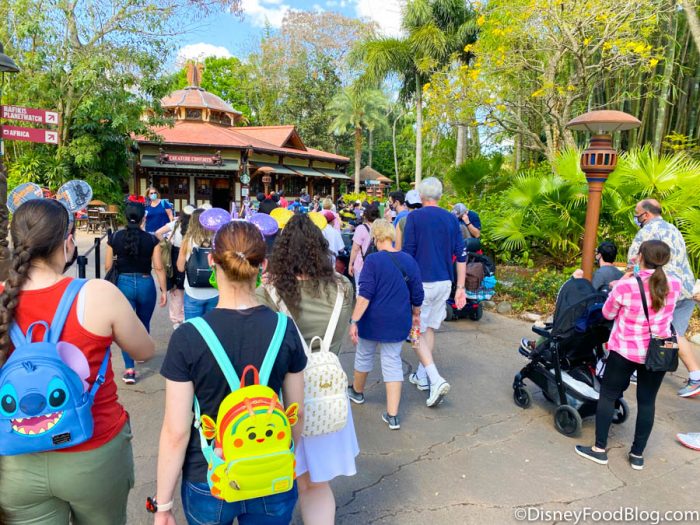 PHOTOS: Here's What the Spring Break Crowds Look Like in Disney World ...
