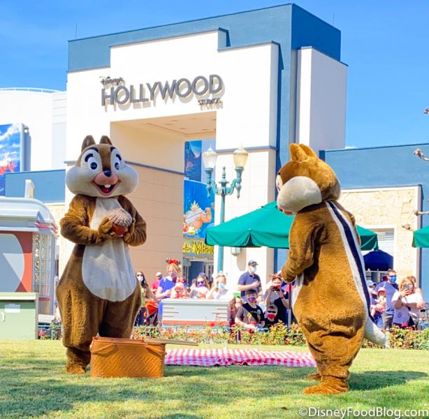 2021-wdw-hollywood-studios-chip-and-dale