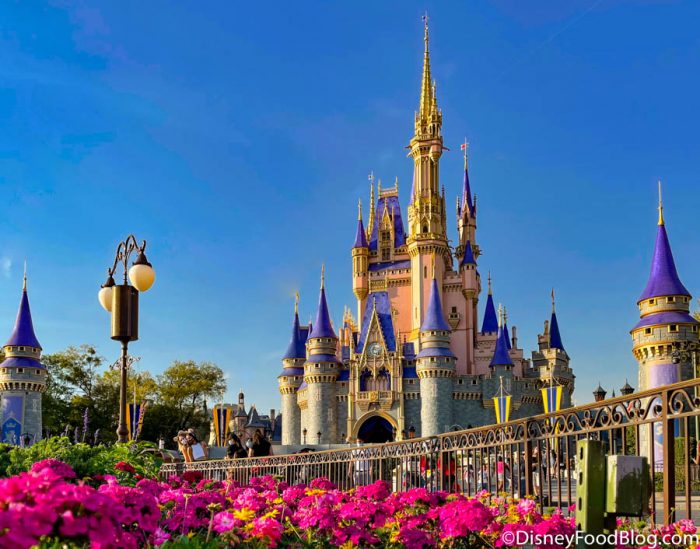 trip to disney world planning