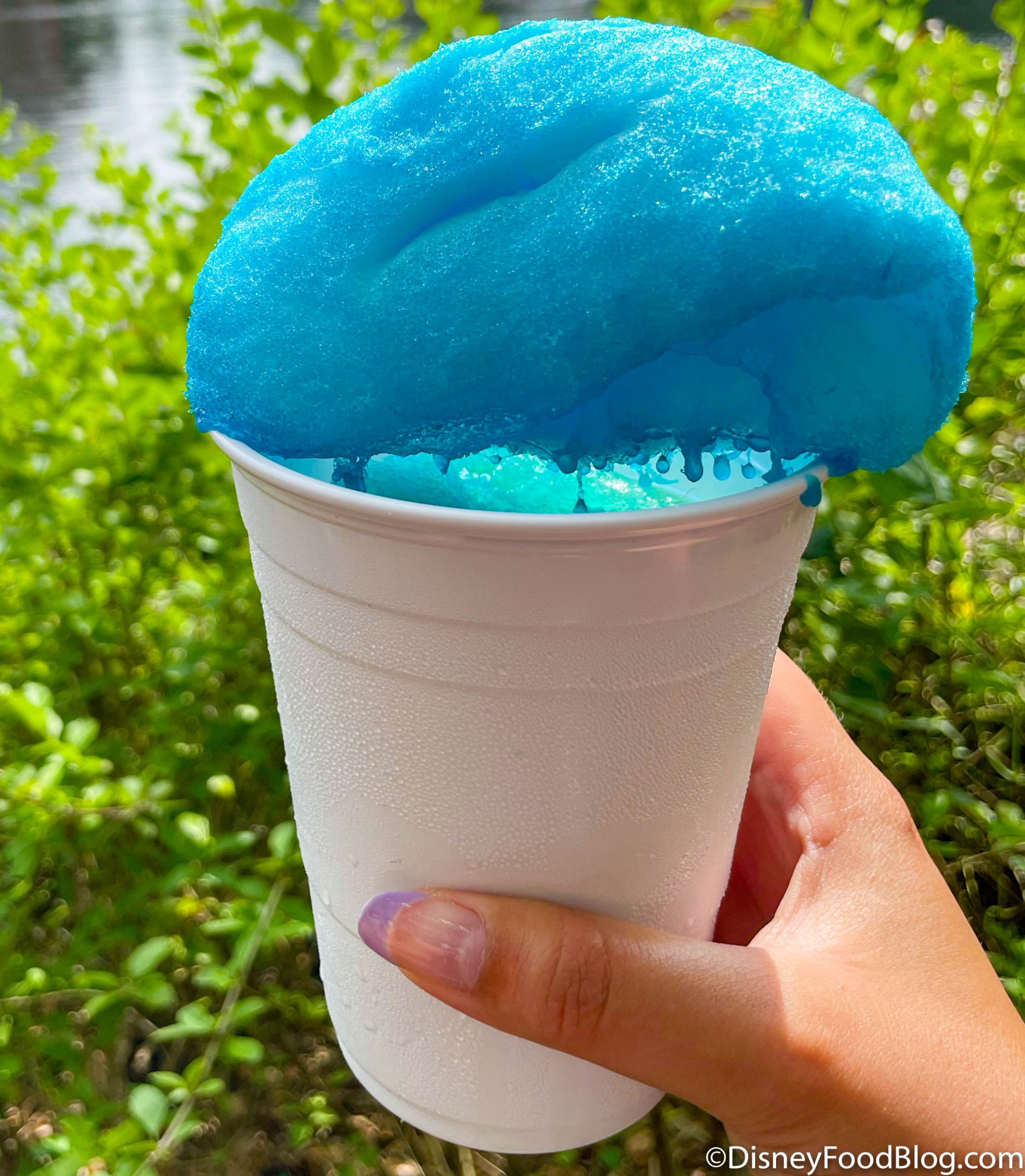 REVIEW: Ever Wanted to DRINK Cotton Candy? Grab Disney World's New Treat! |  the disney food blog