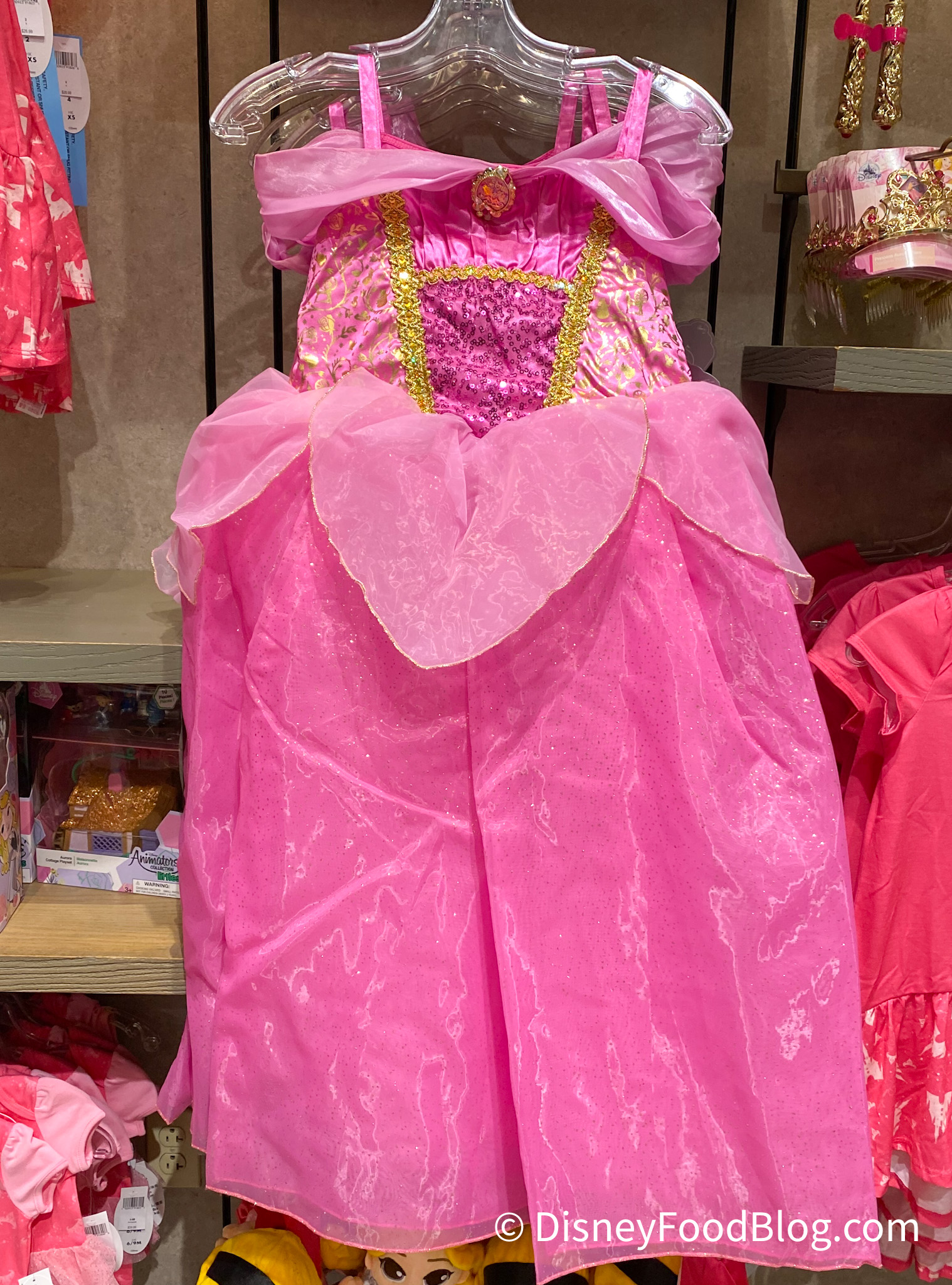 PHOTOS: NEW Princess Costume Dresses Arrive in Disney World!