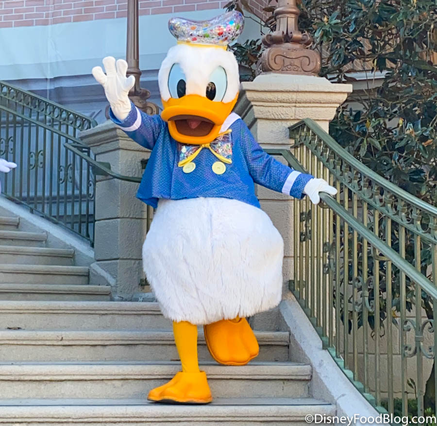 donald duck disneyland