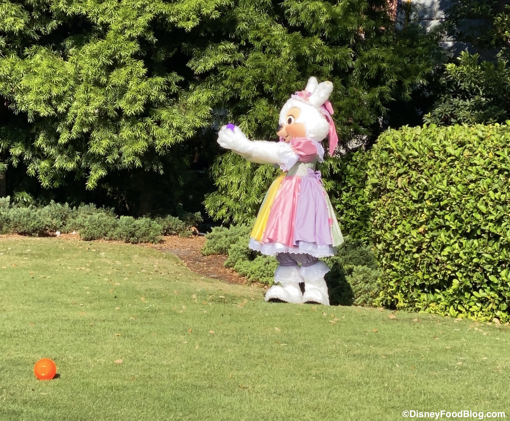 PHOTOS: Mr. & Mrs. Easter Bunny Stopped By Disney World for an Egg Hunt!
