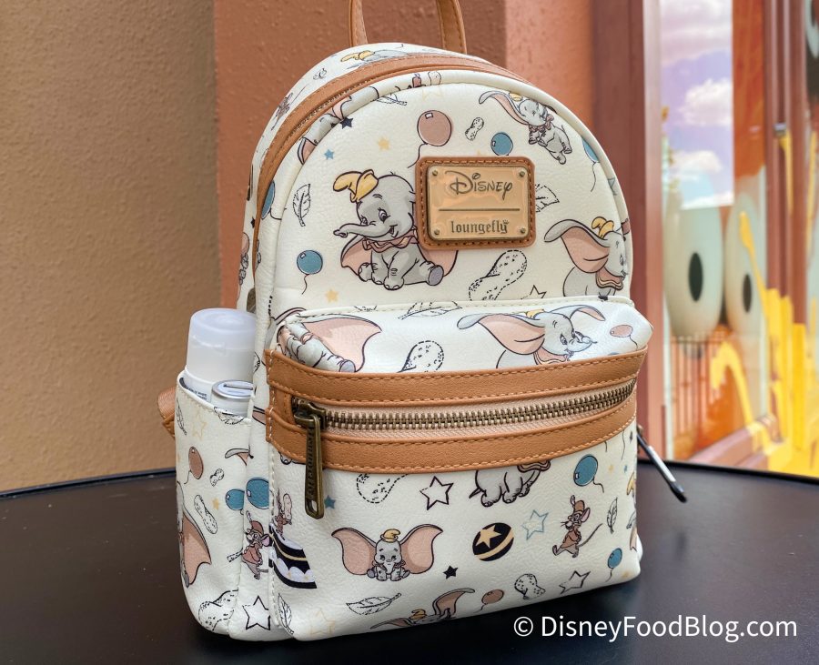 Disney Park Bag Essentials (What To Pack for the Parks)