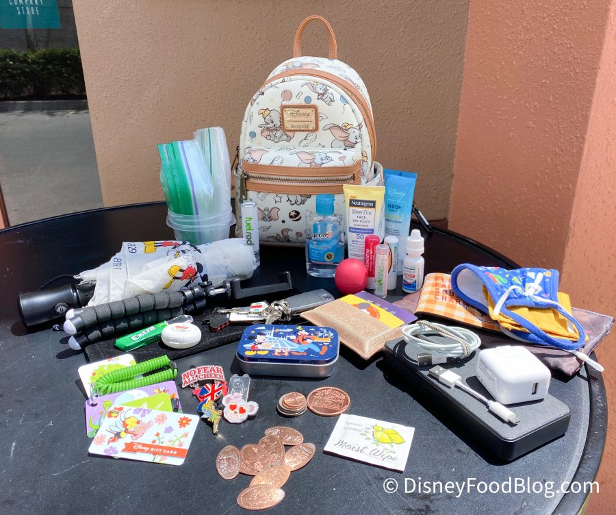 What's In Our Bag?! DFB Reporters Share Their Secrets in Disney