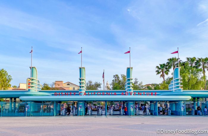 dlr-2021-disneyland-resort-disney-califo