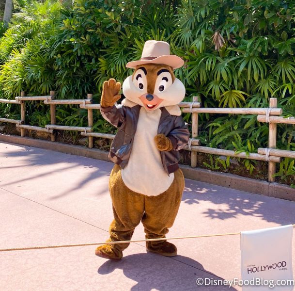 2021-WDW-Hollywood-Studios-Chip-and-Dale