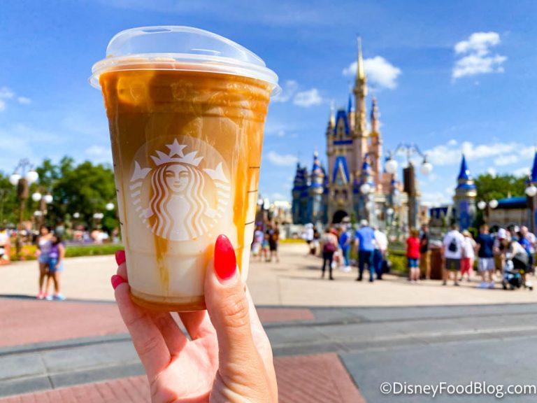 10 Things You NEED to Bring If You're Going to Disney World for the