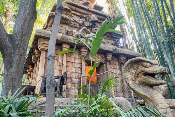A Popular Disney Ride Is About to CLOSE With No Reopening Date in Sight