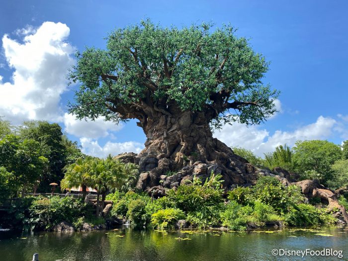 See What Has Changed on the NEW Map for Disney’s Animal Kingdom!