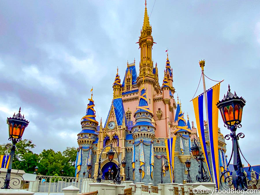 Disney Packing List (25 Things You Might Forget to Bring) - Travel