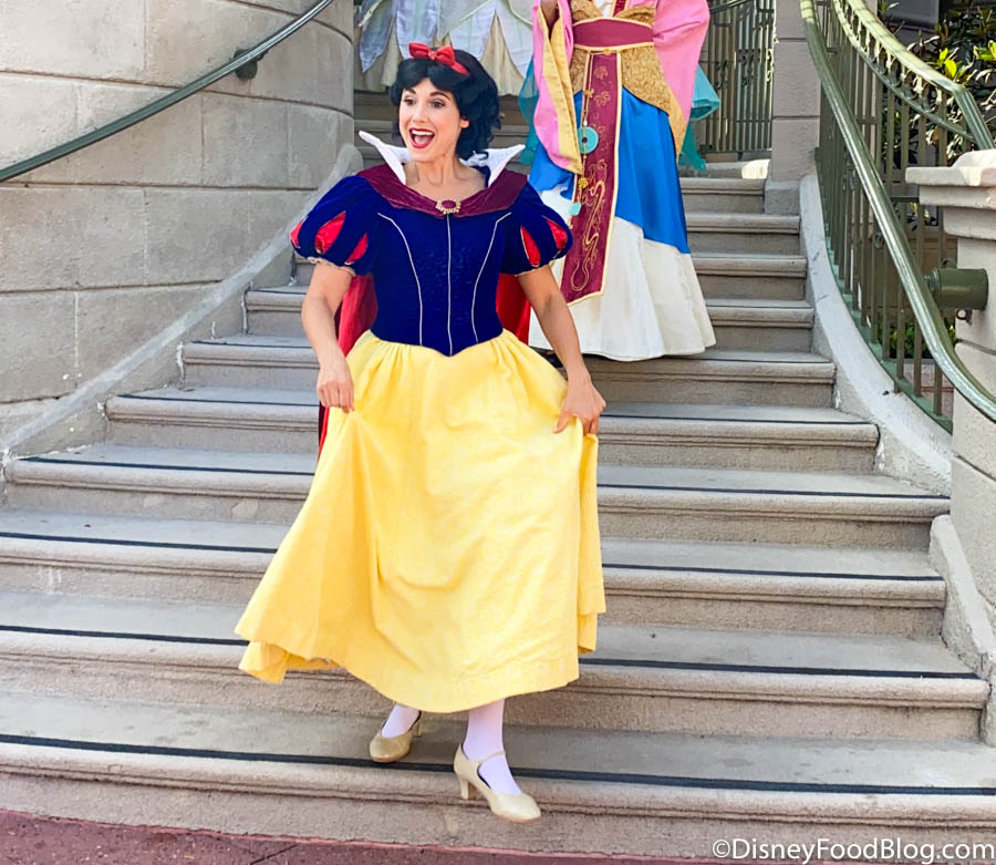 NEW Disney Princess Dresses for Adults Are Now Available Online