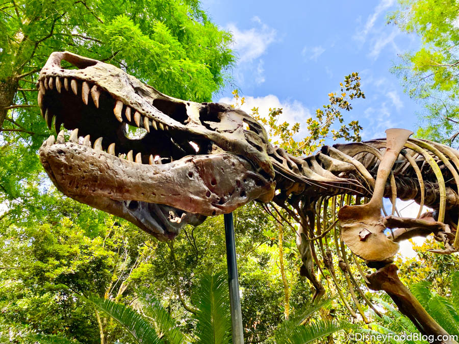 The Boneyard - Animal Kingdom - Disney World