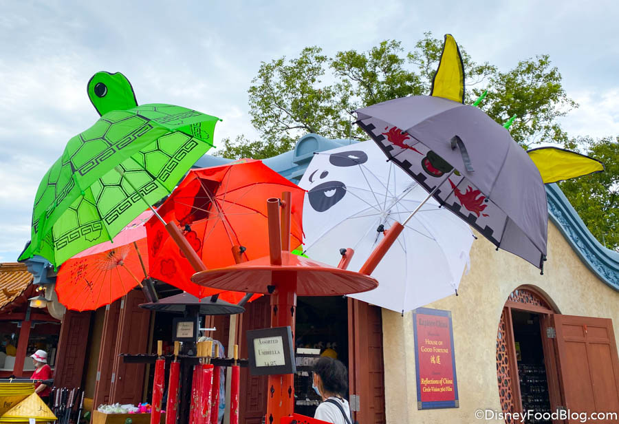 Prepare for RAINY Weather in Disney World Next Week! | the disney food blog