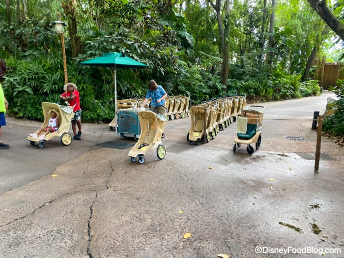 animal-kingdom-strollers-700x525.jpg