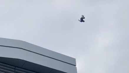 BRB. Watching This Video of a Spider-Man Robot FLYING over Disneyland's  Avengers Campus on Repeat | the disney food blog