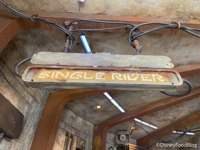 Are Single Rider Lines ACTUALLY Any Faster in Disney World? | the disney food blog