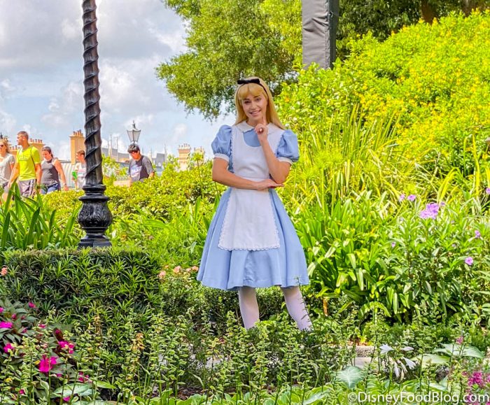 Alice In Wonderland iPhone Wallpaper  PixelsTalkNet