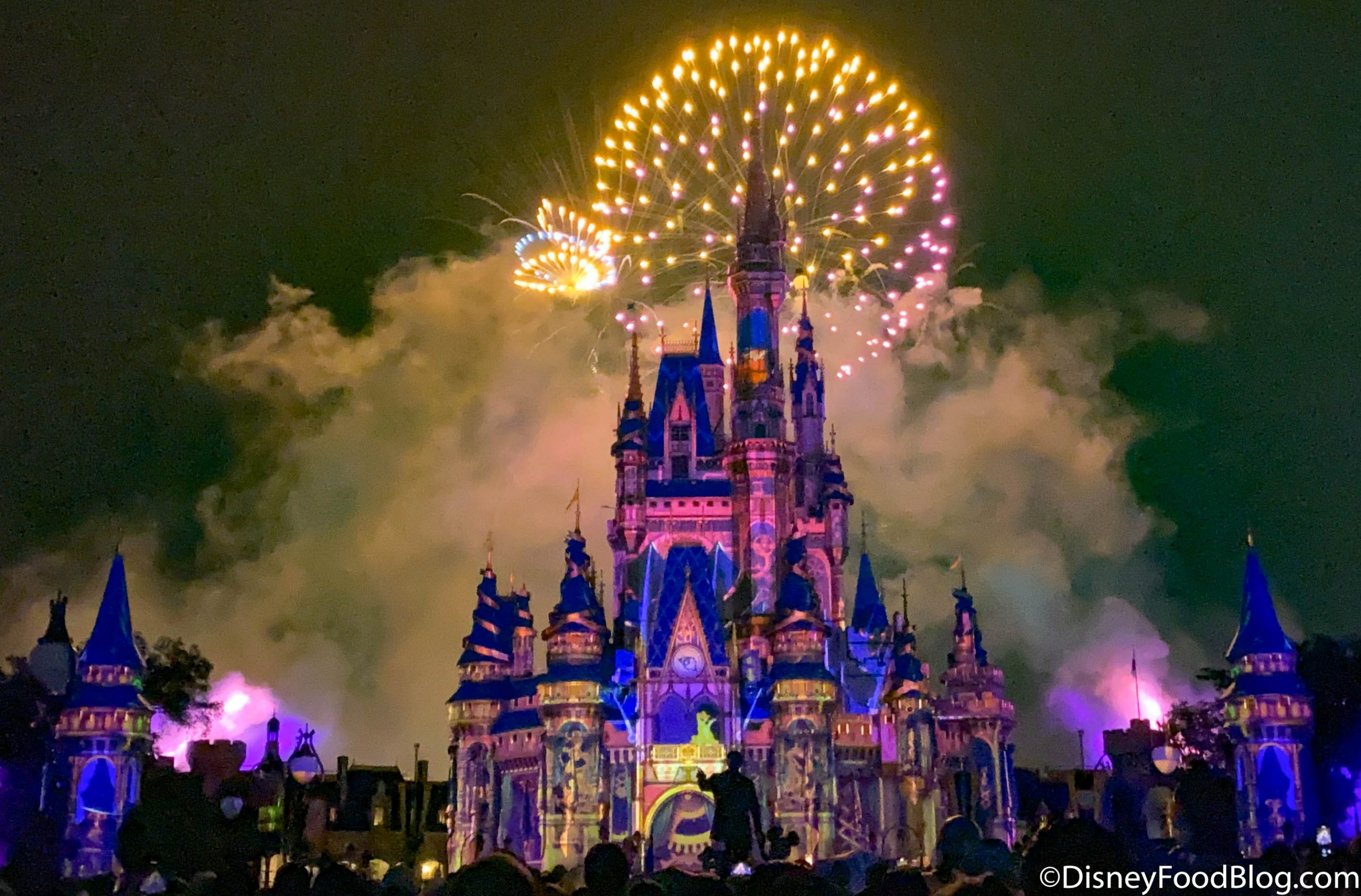 Why You SHOULD Go to Disney World for the 50th Anniversary | the disney ...