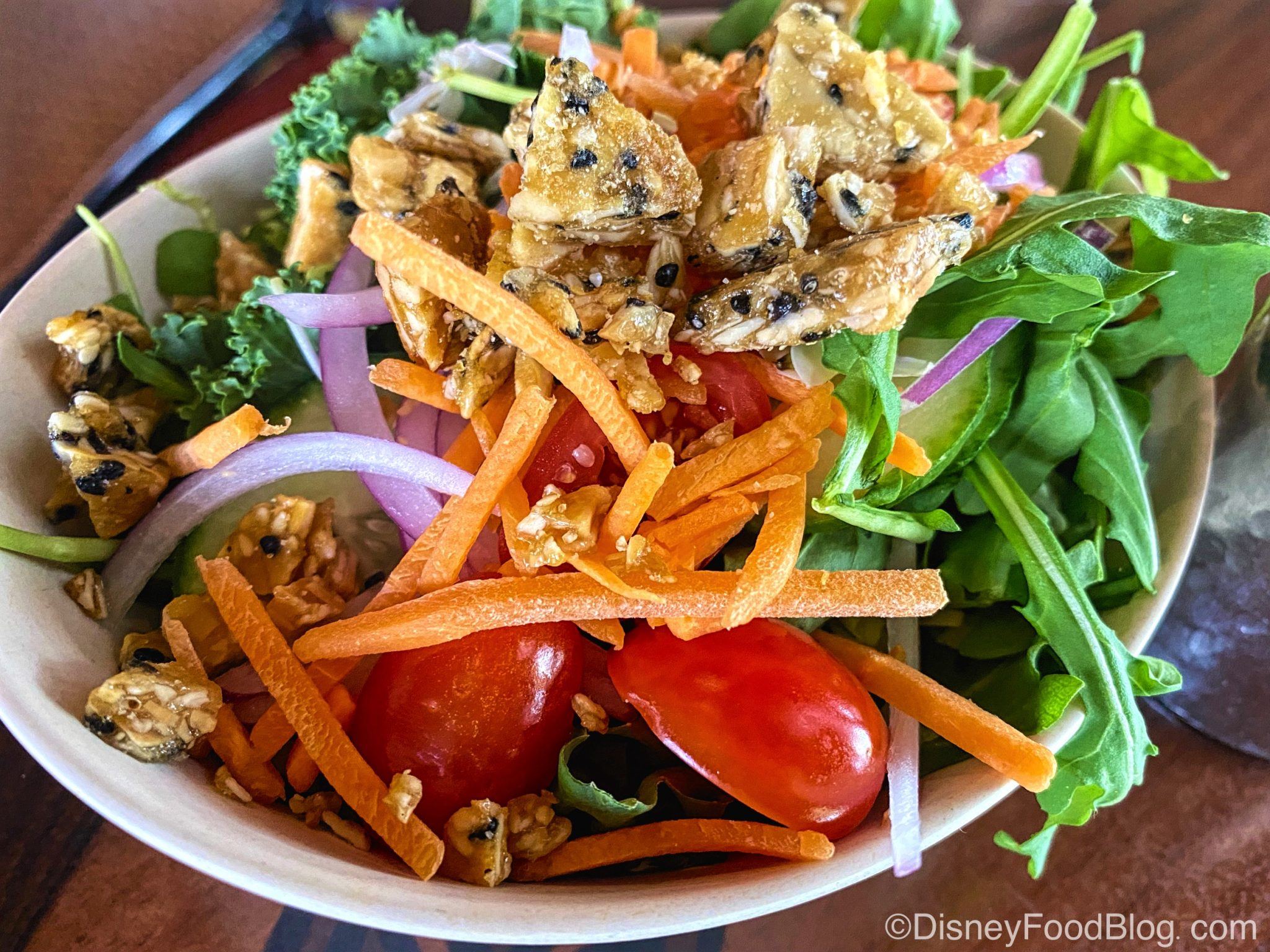 FULL REVIEW 'Ohana Dinner is Back in Disney World…But It's Different