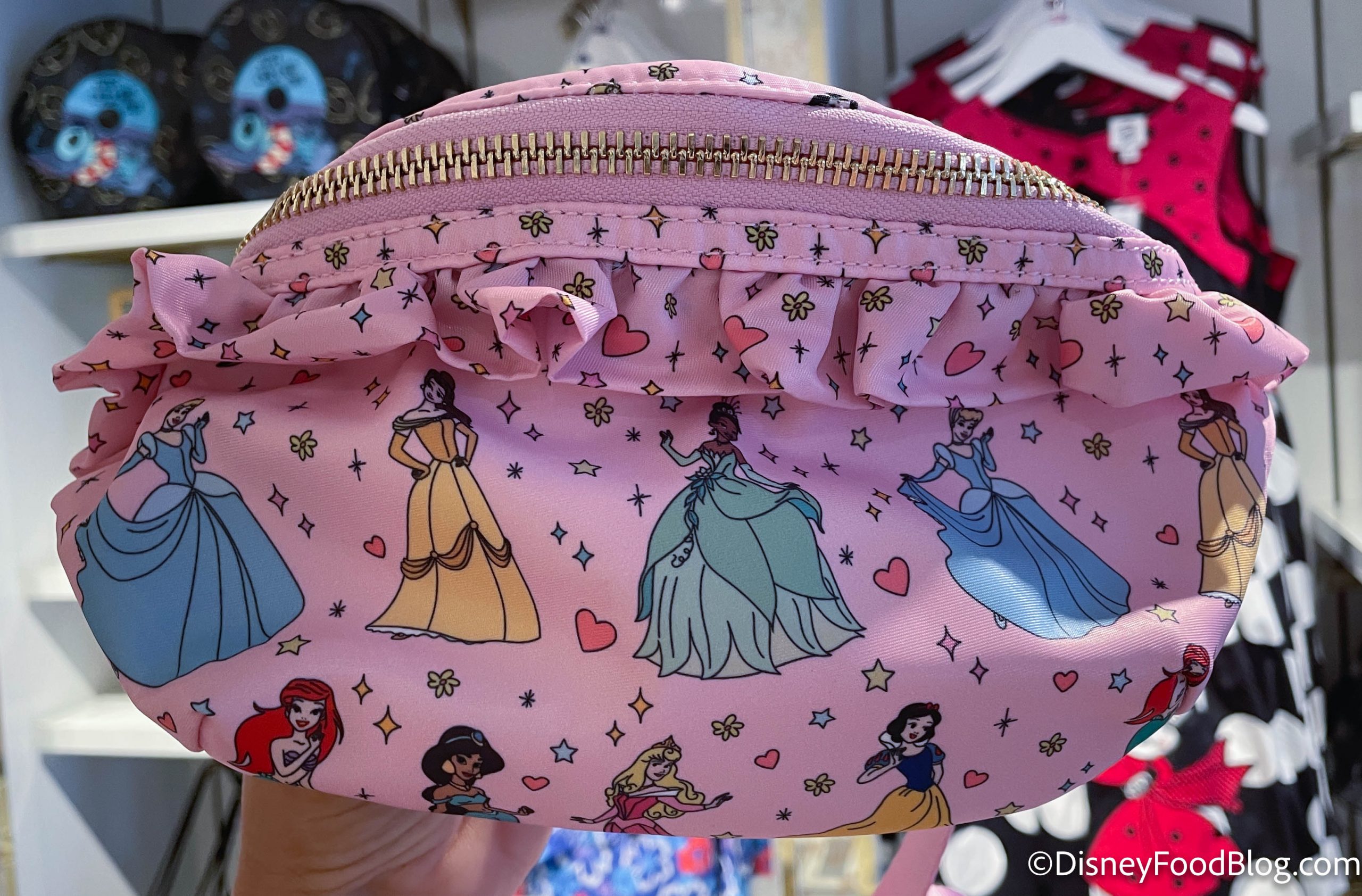 The NEW Collection Everyone is Talking About is Available in Disney