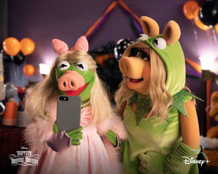 Kermit-and-Miss-Piggy-Dressed-Up-As-Each