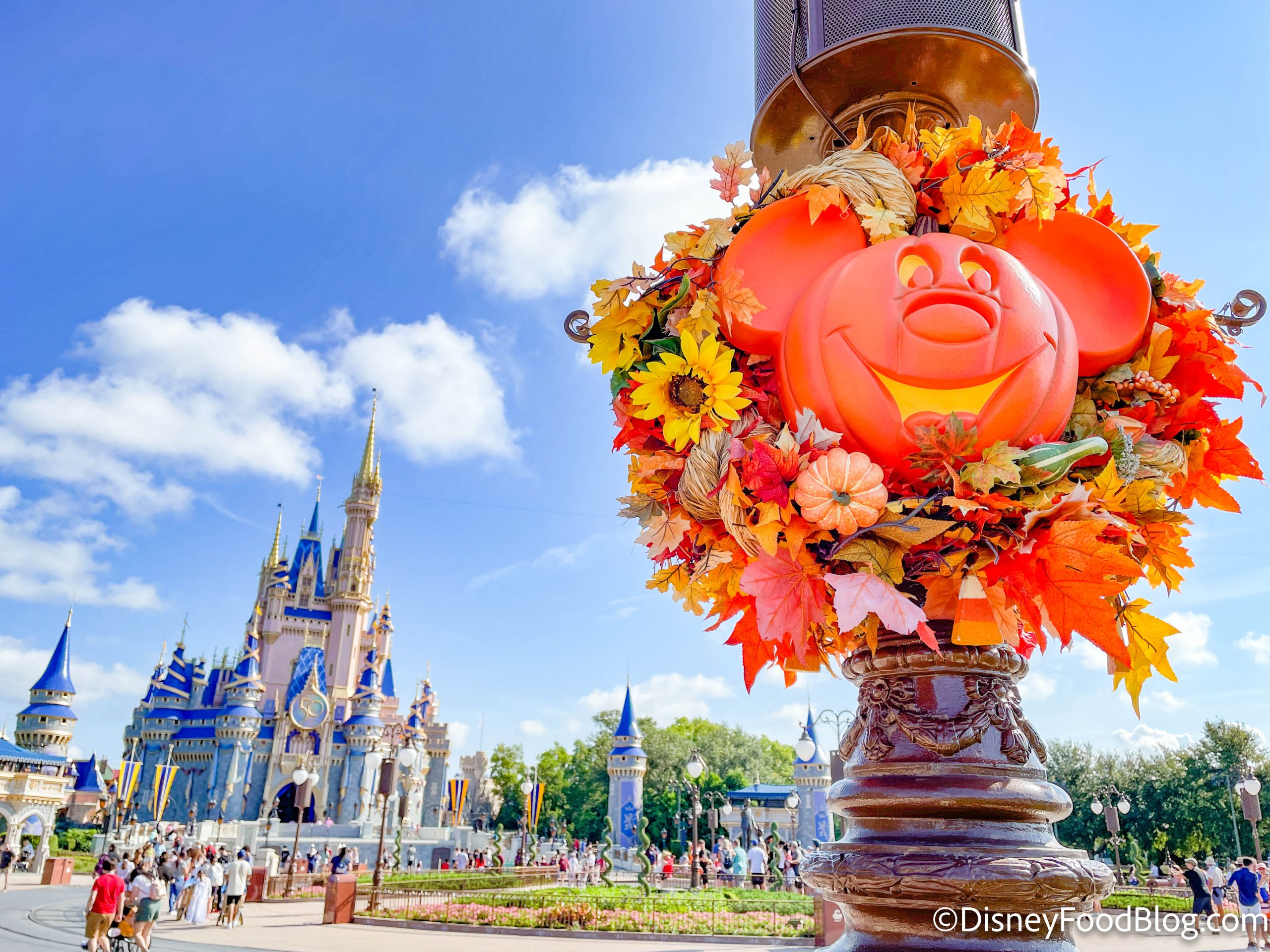 PHOTOS: Halloween CROCS and Spooky Charms Arrive in Disney World!