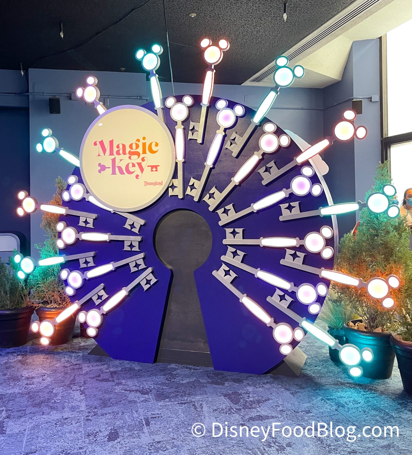 Magic Key Pass Sales Resumed for Disneyland Resort | the disney food blog