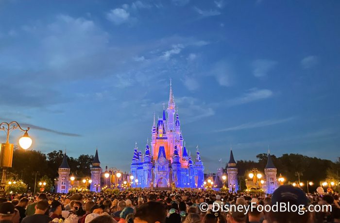 2021-WDW-Magic-Kingdom-Happily-Ever-Afte