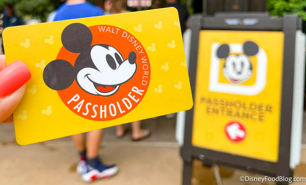 Hey Annual Passholders! You Can Save 25% on Disney Merchandise for a LIMITED Time!