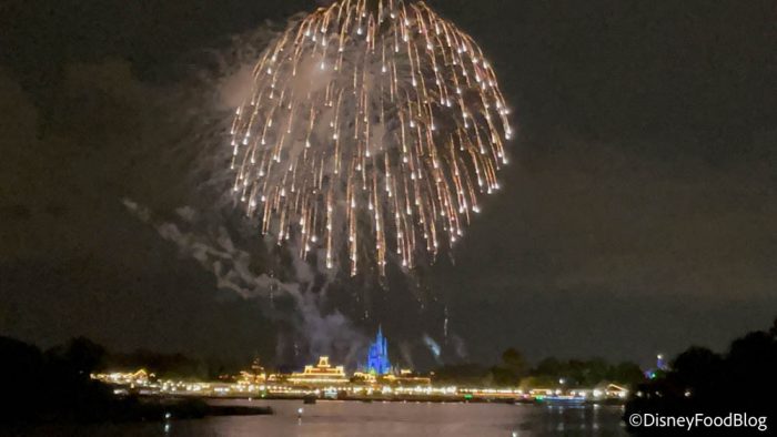 magic kingdom fireworks cruise review