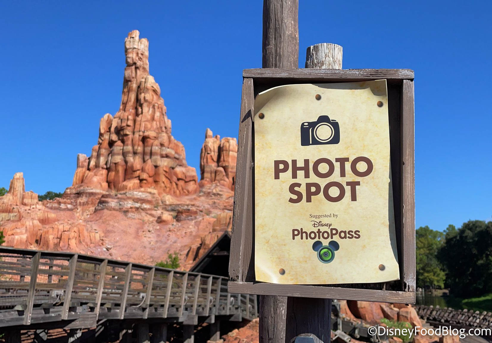 Disney+ Subscribers Can Get FREE PhotoPass Downloads in Disney World! Find  Out WHEN! | the disney food blog