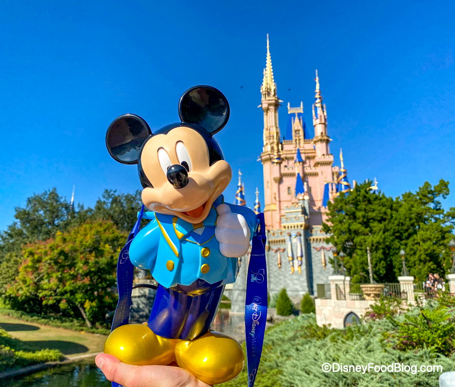 Disney Parks Life Mickey Mouse and Friends Mug Walt Disney World New 