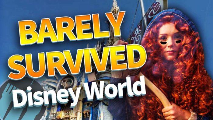DFB Video: Times We Barely Survived Disney World | the disney food blog