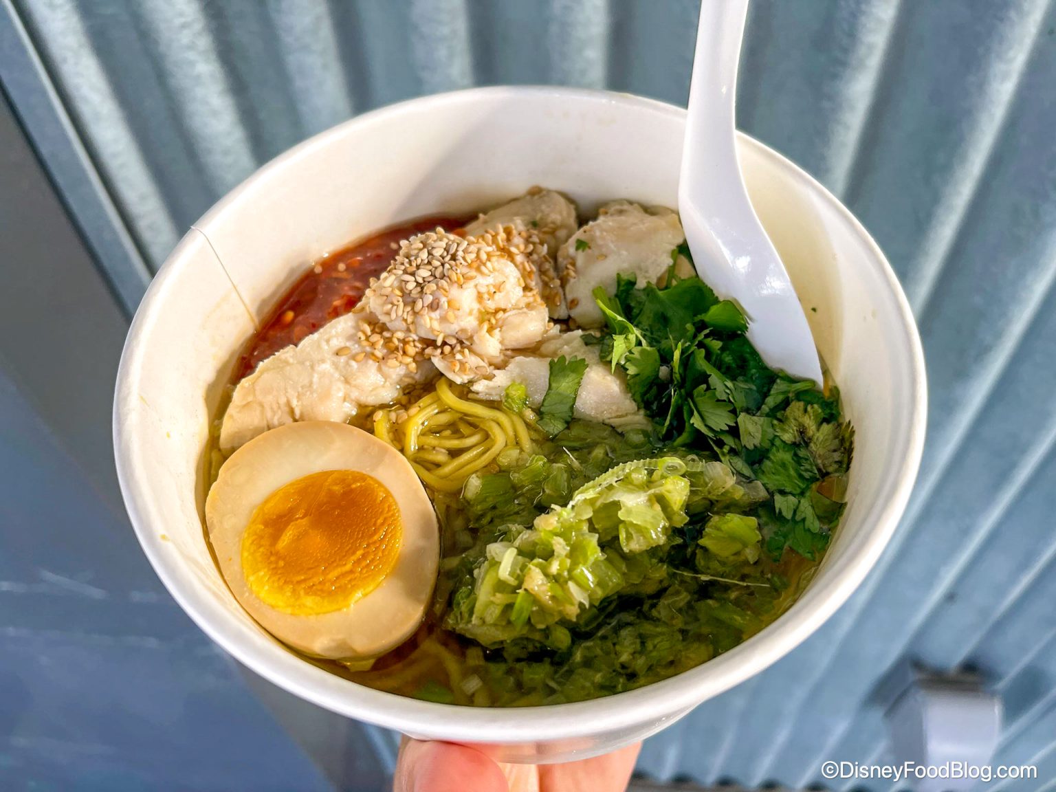 What to Eat at the CHEAPEST Restaurants in Disney World the disney