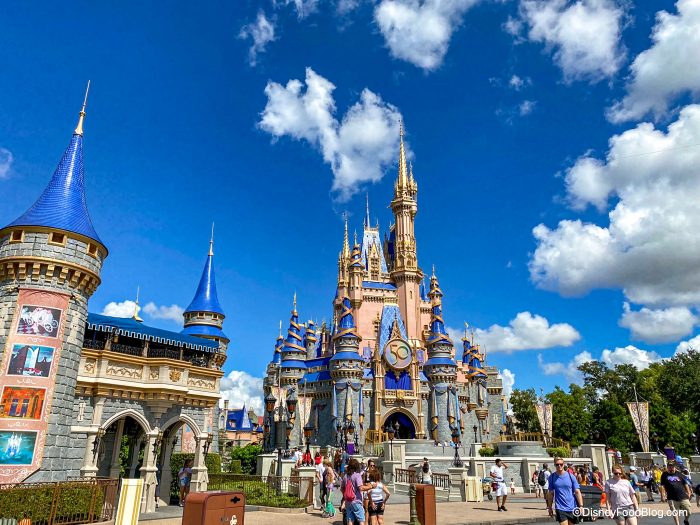 Disney-World-Magic-Kingdom-Atmo-Cinderel