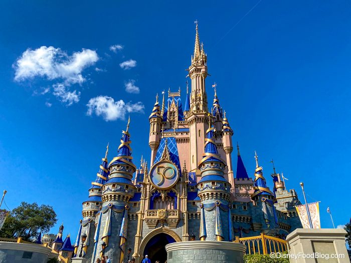 Disney-World-Magic-Kingdom-Atmo-Cinderel