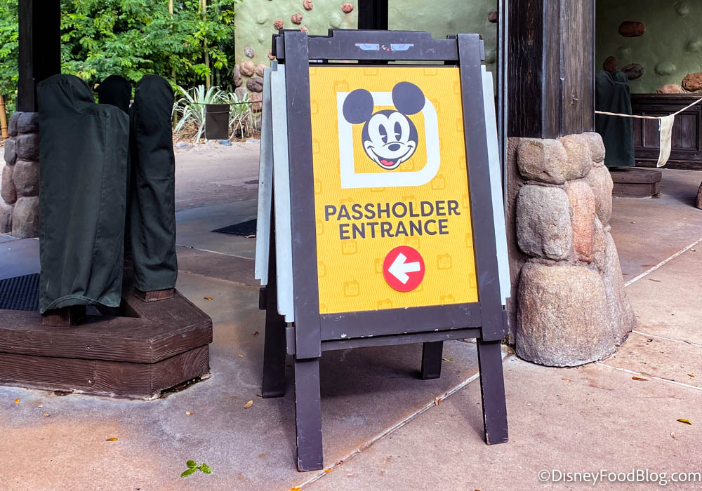 Disney World Will Use a Virtual Queue for NEW Annual Passholder Magnets!