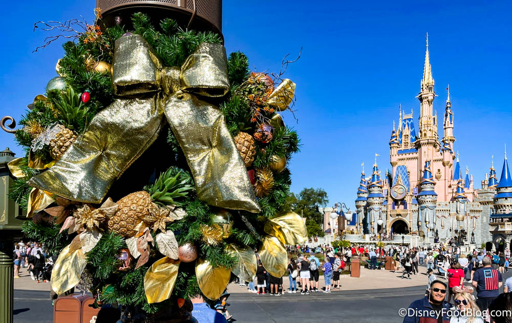 https://www.disneyfoodblog.com/wp-content/uploads/2021/11/2021-wdw-disney-world-atmosphere-magic-kingdom-cinderella-castle-wreath-christmas-holidays.jpg
