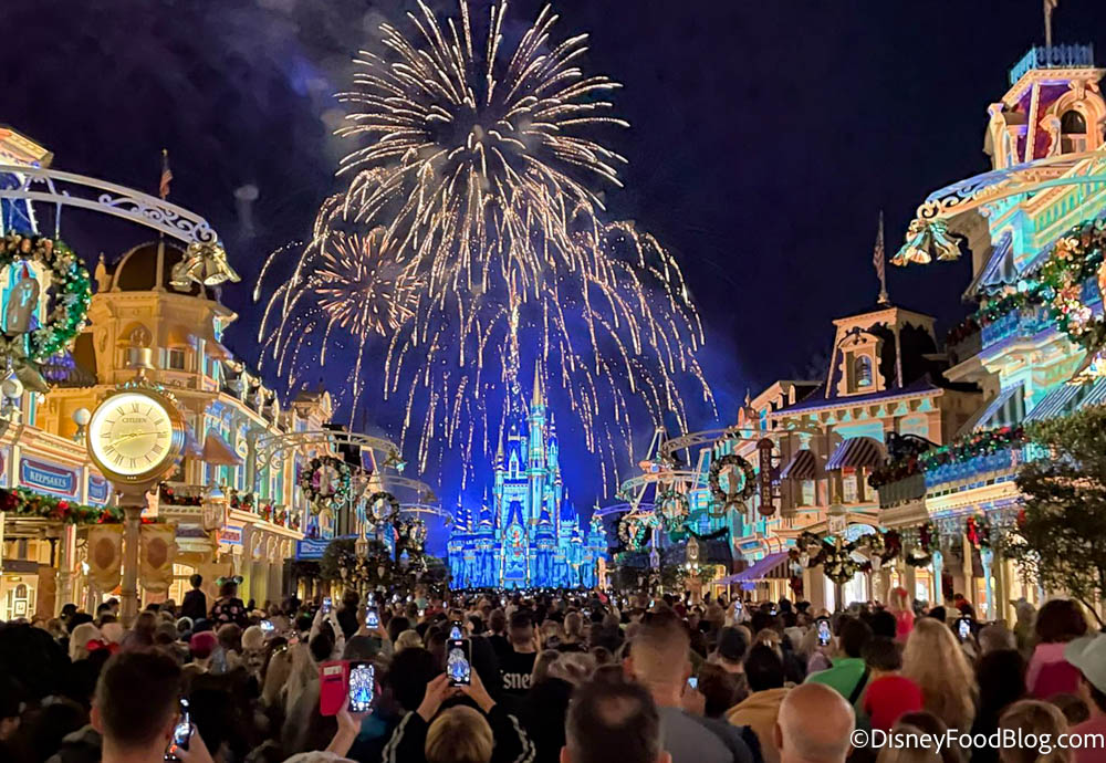 Find Out If You Qualify to See Magic Kingdom’s Fireworks From An Exclusive Location