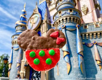 PHOTOS: We Did a DOUBLE TAKE at Disney World's New Gingerbread Creation ...
